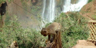 Morocco Tours ! Travel with us ! Morocco Tours ! Travel with us ! Website design by GOMARNAD